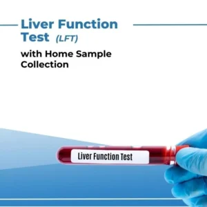 Liver Function Test (LFT) for Pets | Comprehensive Liver Health Assessment | Celebs Pet Care