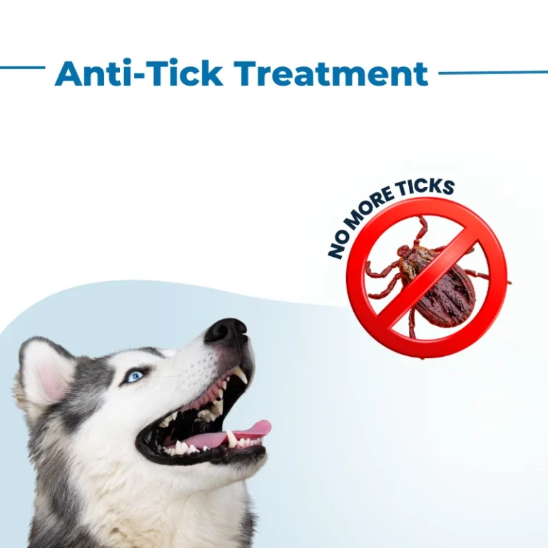 tick-treatment celebspet care