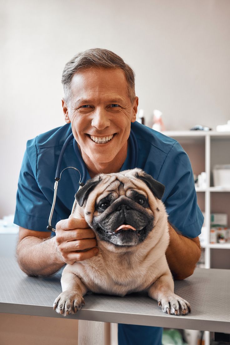 Best Pet Vet Care