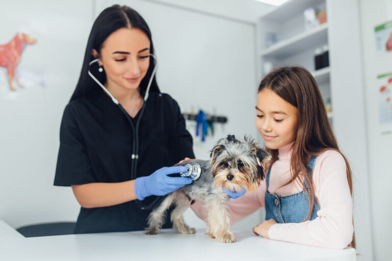 Pet vet clinic near me