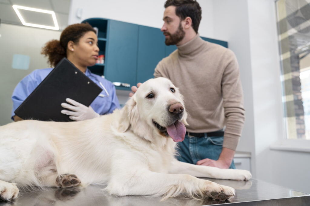 How to Maintain Pet Health Regular Vet Visits: Monitoring Pet Health