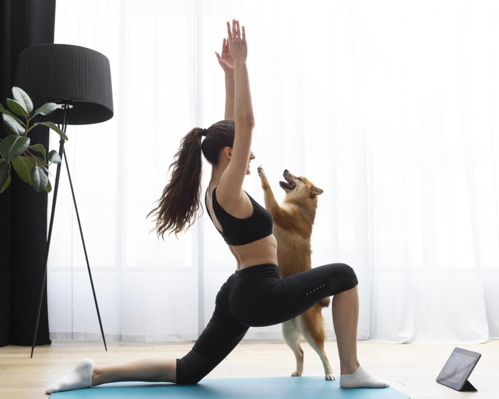 Regular Exercise: Keeping Your Pet Active