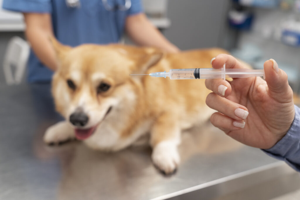 Coronavirus Vaccine for Pets