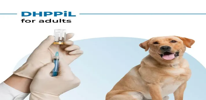 Best DHPPi Vaccine in India